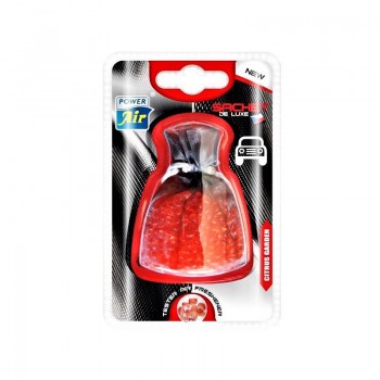 POWER AIR SACHET DE LUXE CITRUS GARDEN Osvěžovač vzduchu 1ks